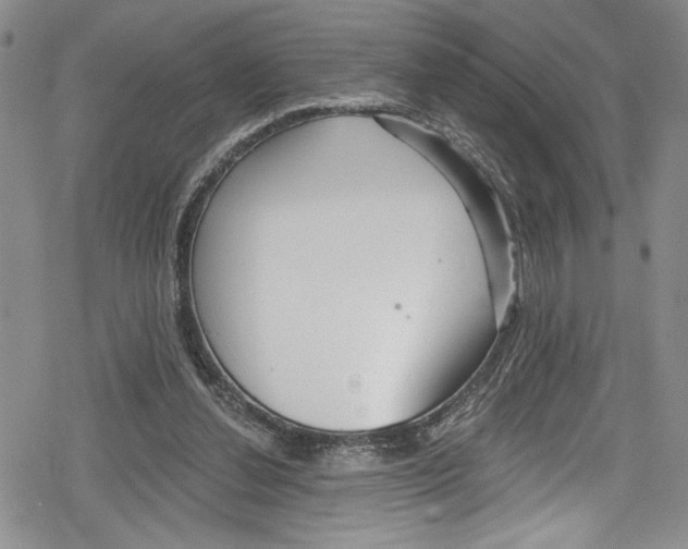 X0000078830252200612111527