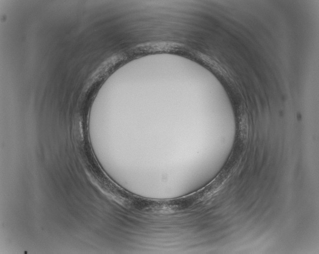 X0000078830254200612111527