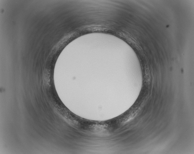 X0000078830255200612111527