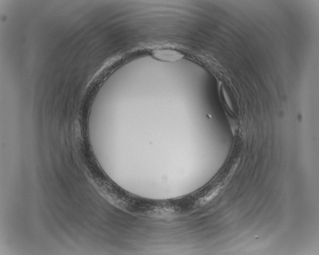 X0000078830256200612111527