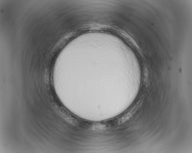 X0000078830257200612111527