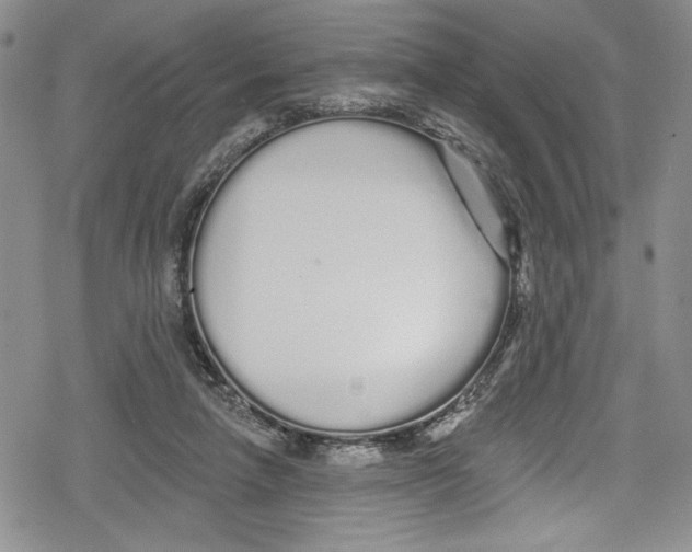 X0000078830258200612111527