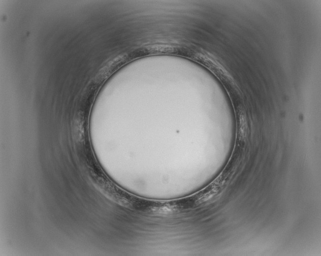 X0000078830259200612111527