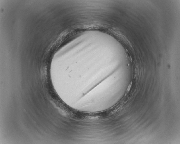 X0000078830260200612111527