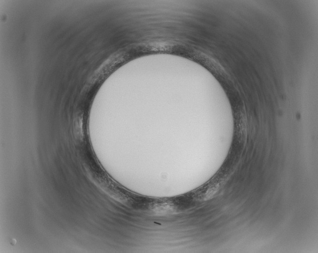 X0000078830262200612111527