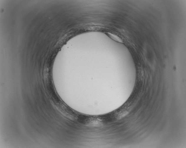 X0000078830263200612111527