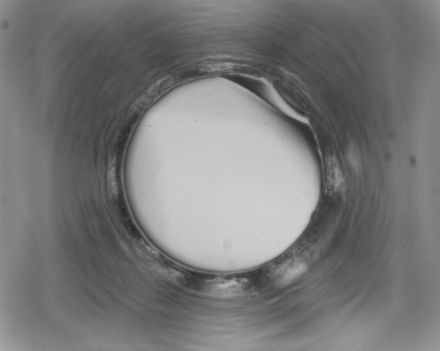 X0000078830267200612111527