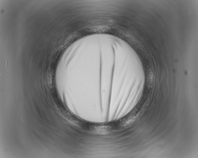 X0000078830268200612111527