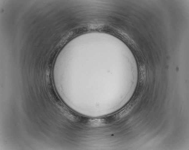 X0000078830269200612111527