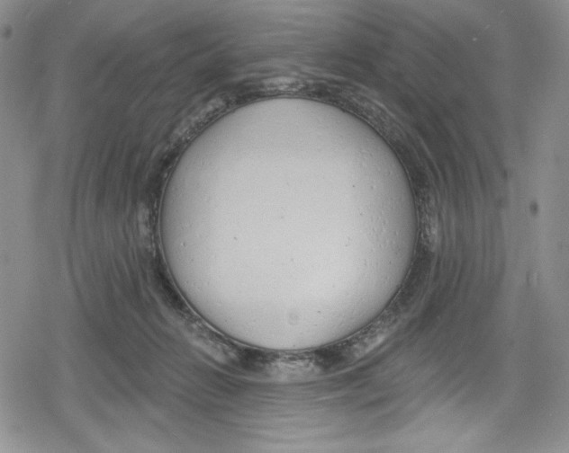 X0000078830270200612111527