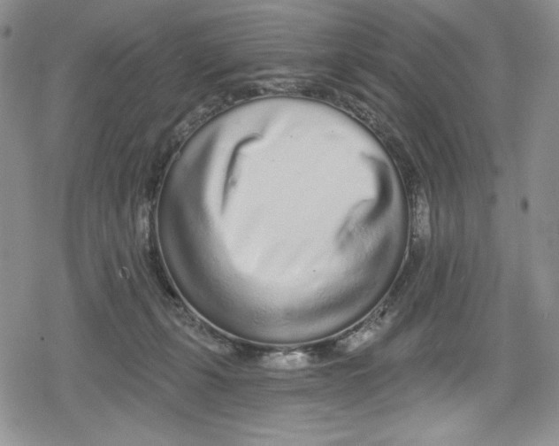 X0000078830271200612111527