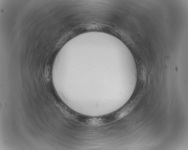 X0000078830273200612111527