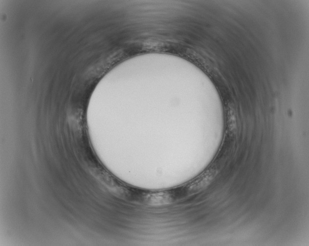 X0000078830275200612111527