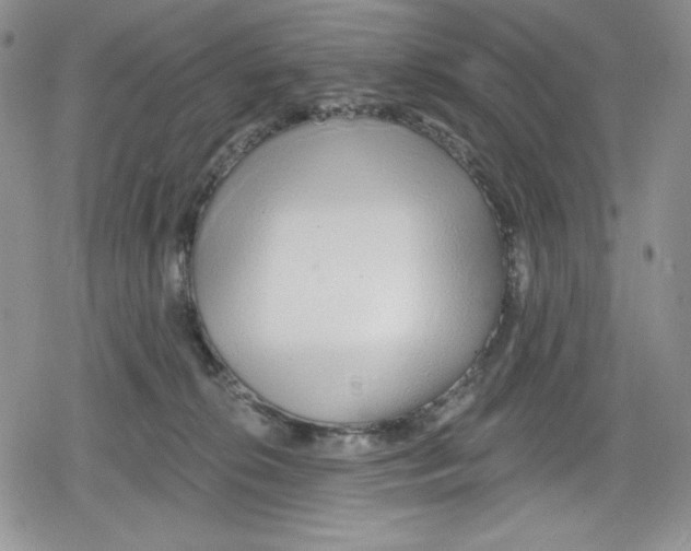 X0000078830276200612111527