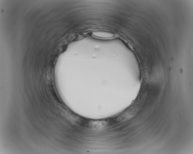 X0000078830277200612111527