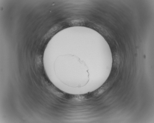 X0000078830278200612111527