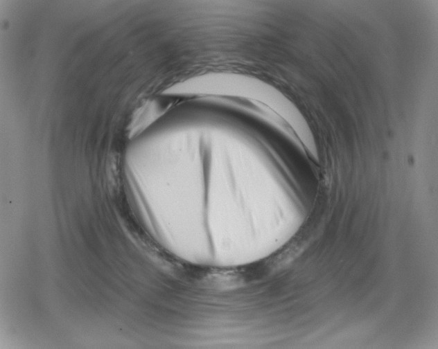 X0000078830280200612111527