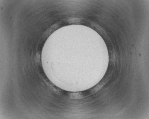 X0000078830281200612111527