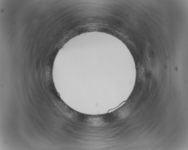 X0000078830283200612111527