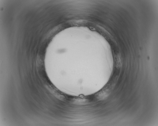 X0000078830284200612111527