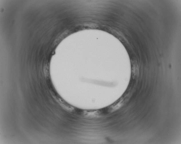 X0000078830285200612111527