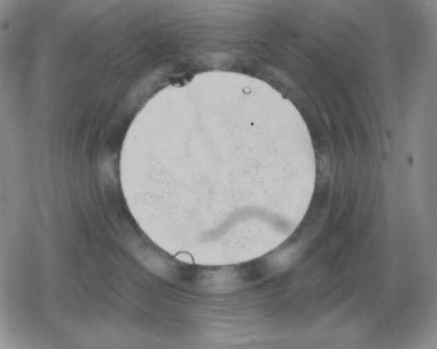 X0000078830286200612111527