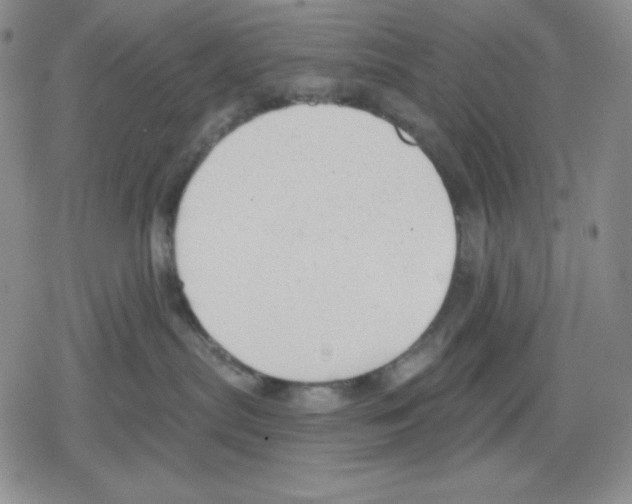 X0000078830287200612111527