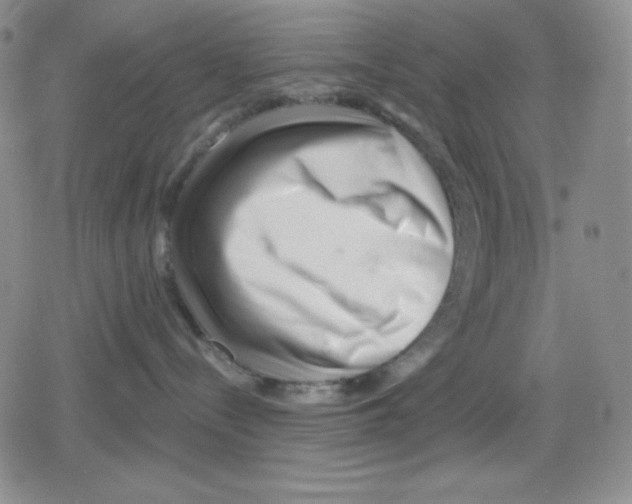 X0000078830288200612111527