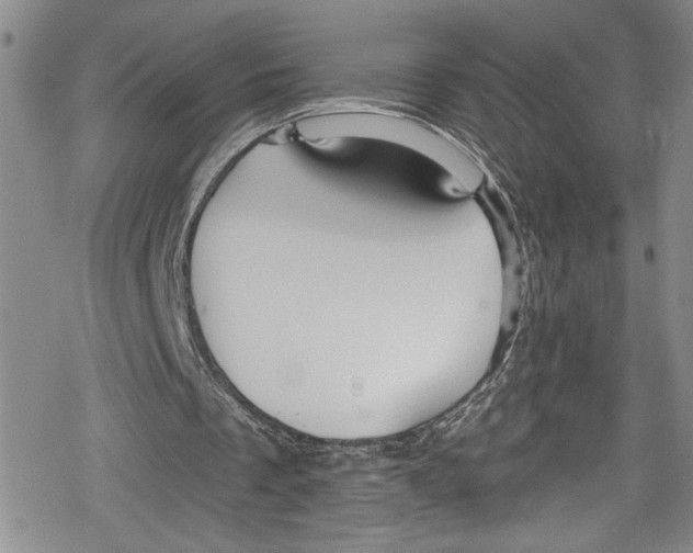 X0000078830289200612111526