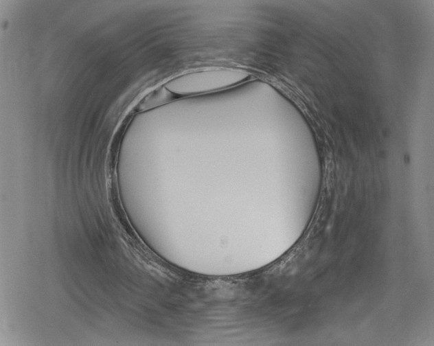 X0000078830290200612111526