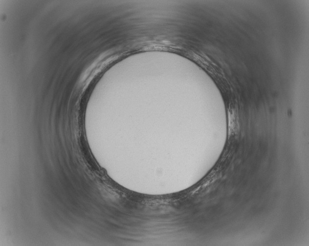 X0000078830291200612111526