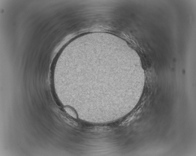 X0000078830292200612111526