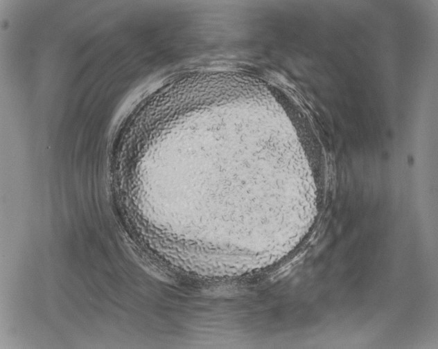 X0000078830293200612111526