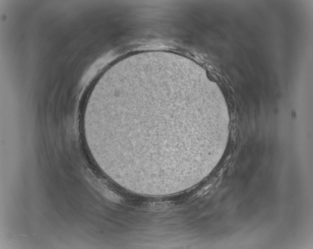 X0000078830296200612111526