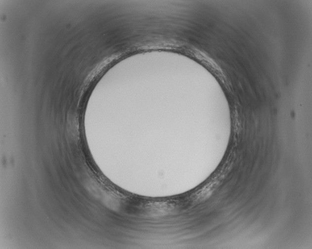 X0000078830298200612111526