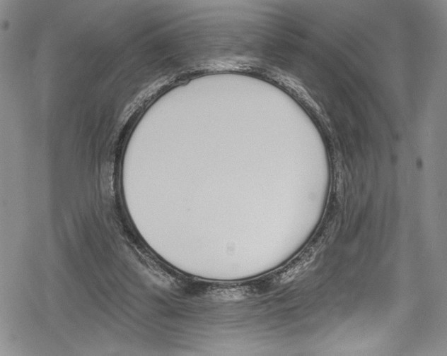 X0000078830299200612111526