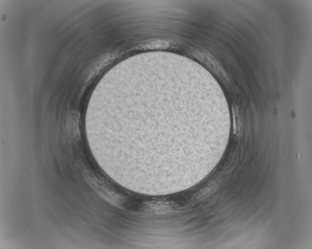 X0000078830300200612111526