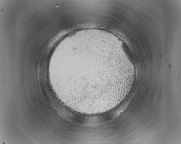 X0000078830301200612111526