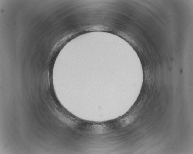 X0000078830302200612111526