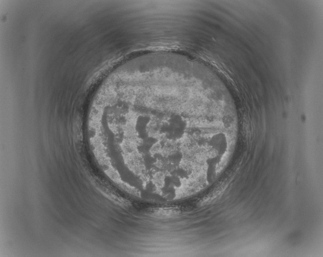 X0000078830303200612111526