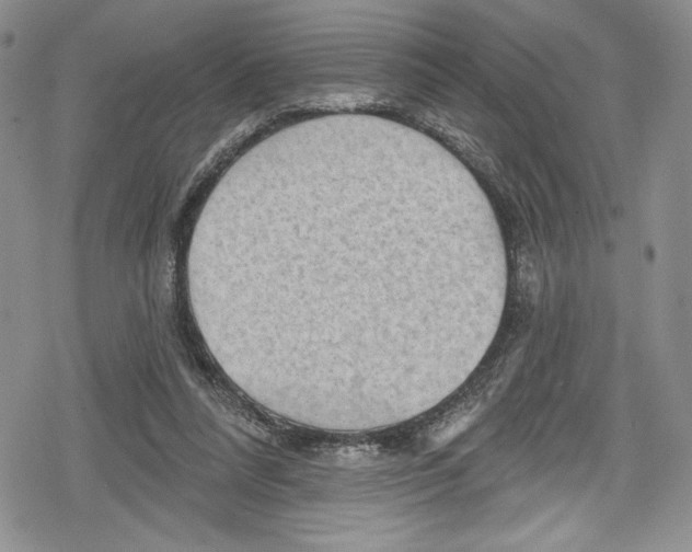 X0000078830304200612111526