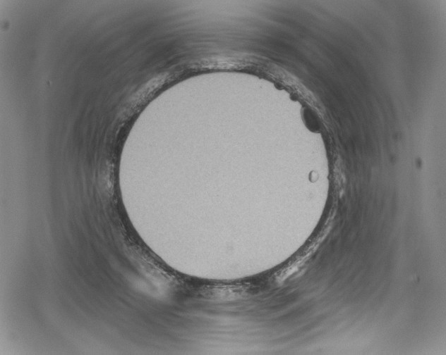 X0000078830305200612111526