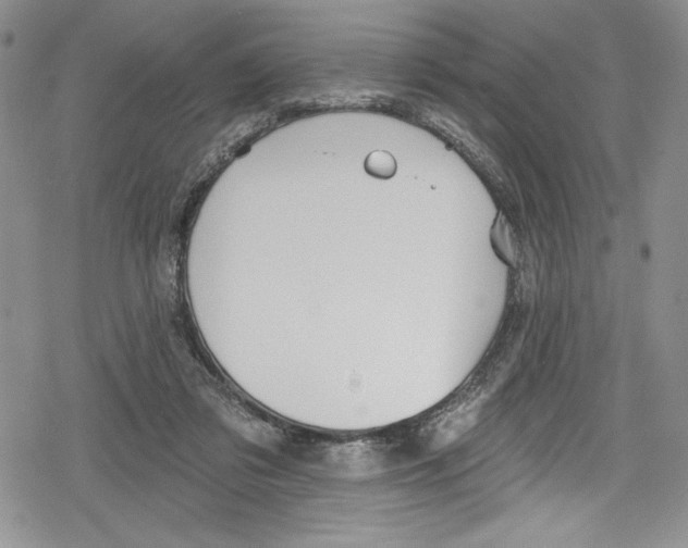 X0000078830309200612111526