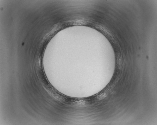 X0000078830310200612111526