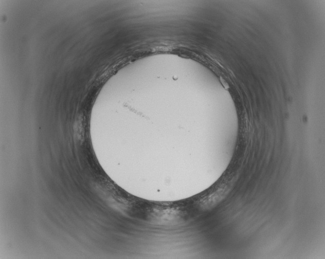 X0000078830311200612111526