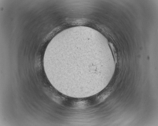 X0000078830312200612111526