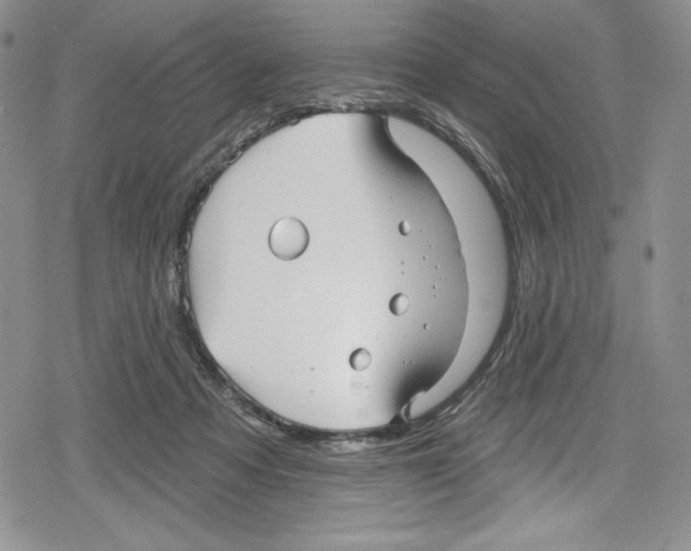 X0000078830313200612111526