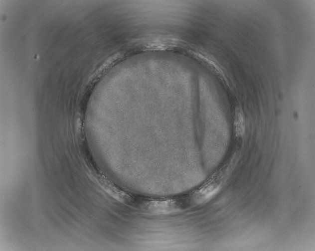 X0000078830314200612111526