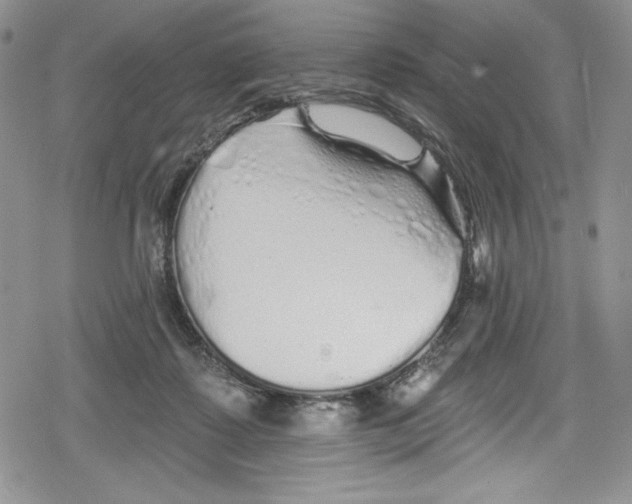 X0000078830315200612111526