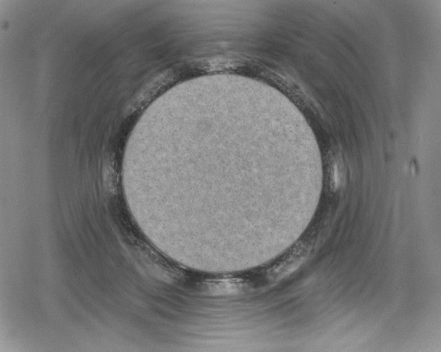 X0000078830316200612111526